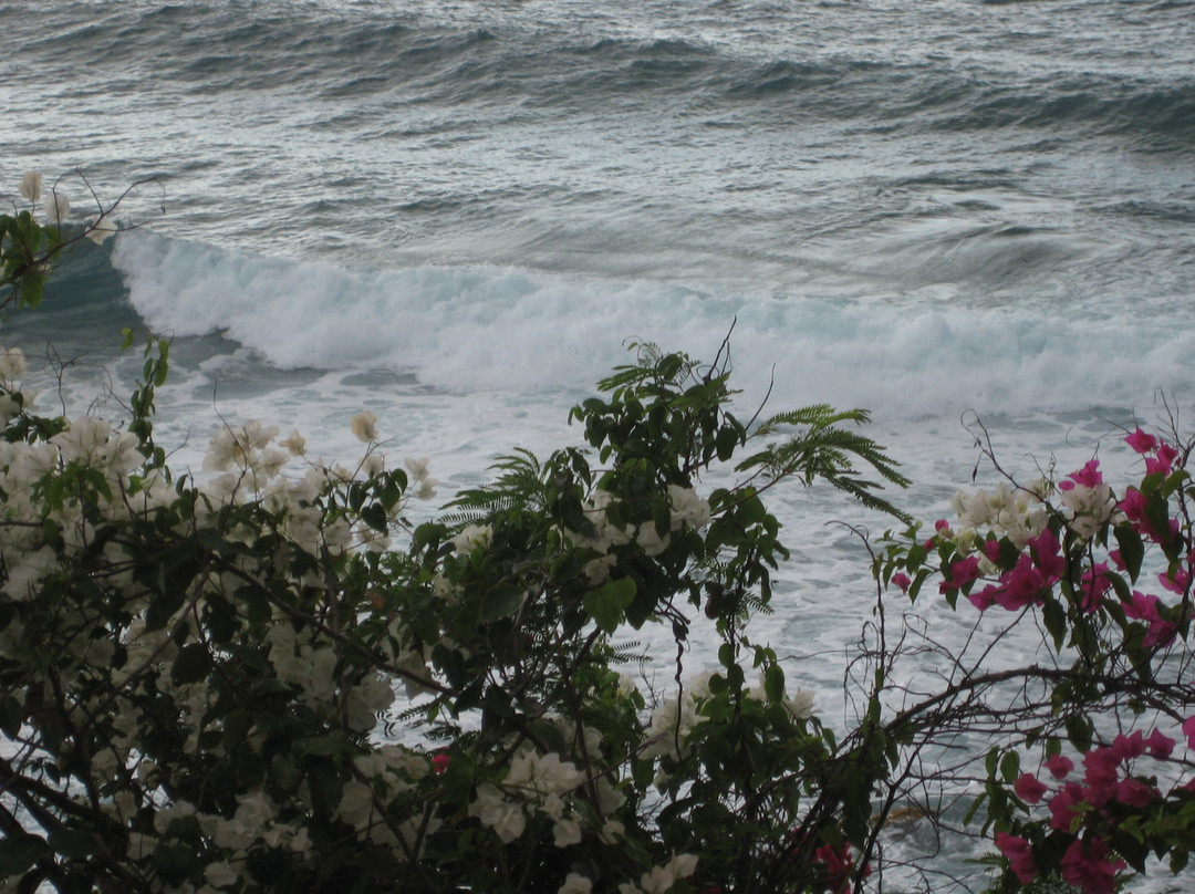 El Faro Park-吕康必去景点