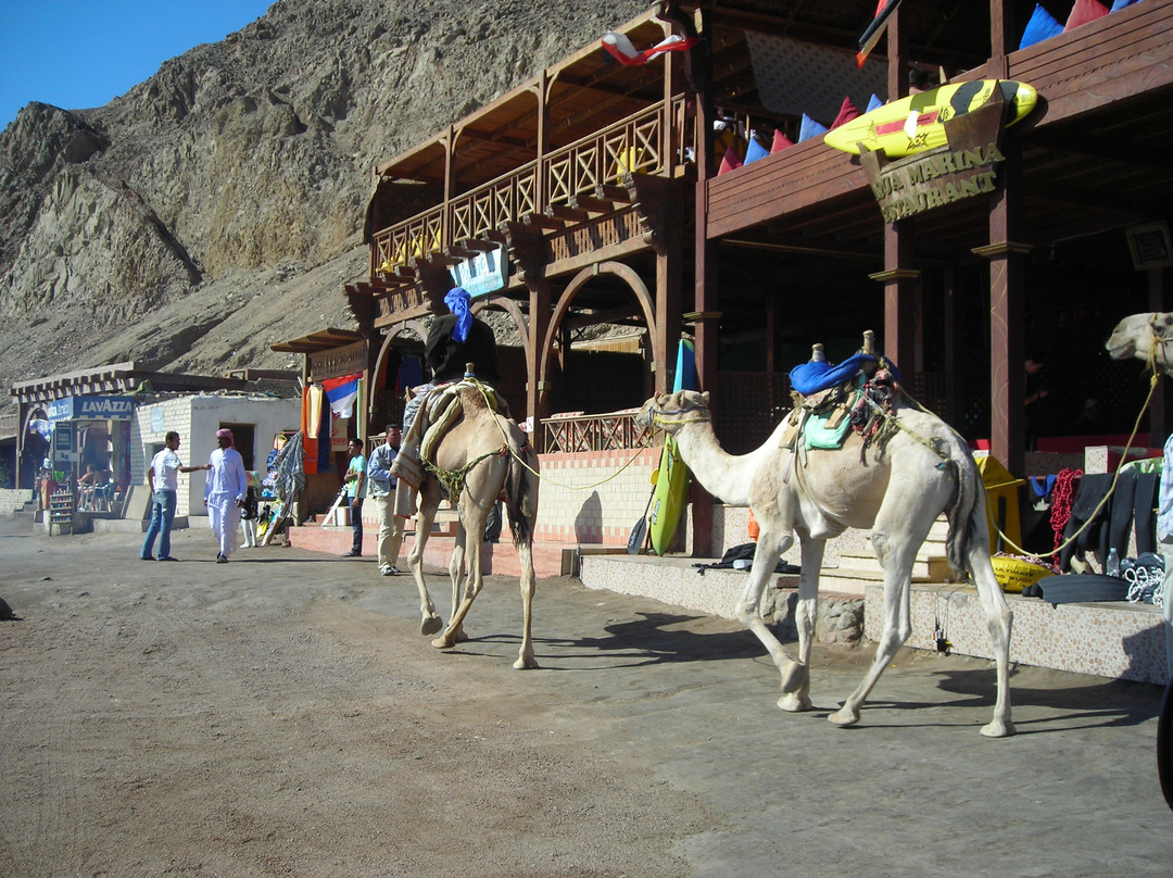 Blue Hole-达哈卜必去景点