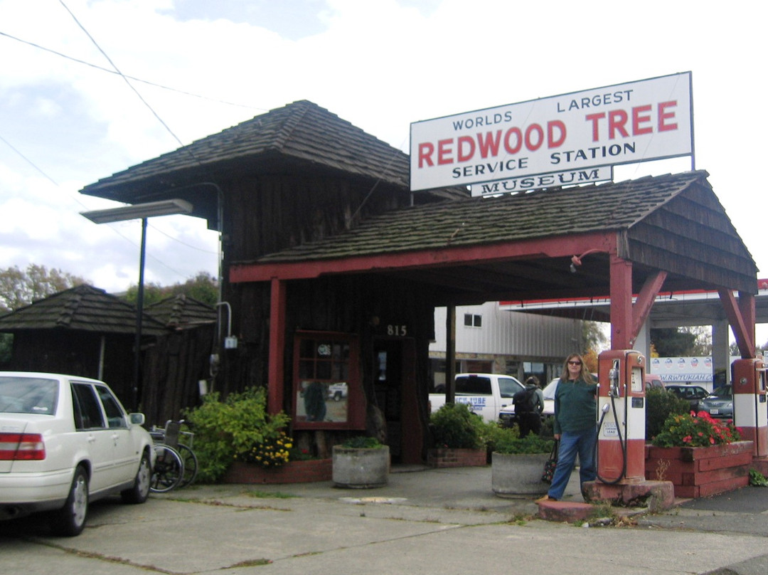World's Largest Redwood Tree Service Station景点图片