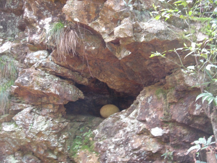 丫山森林公园-大余县必去景点