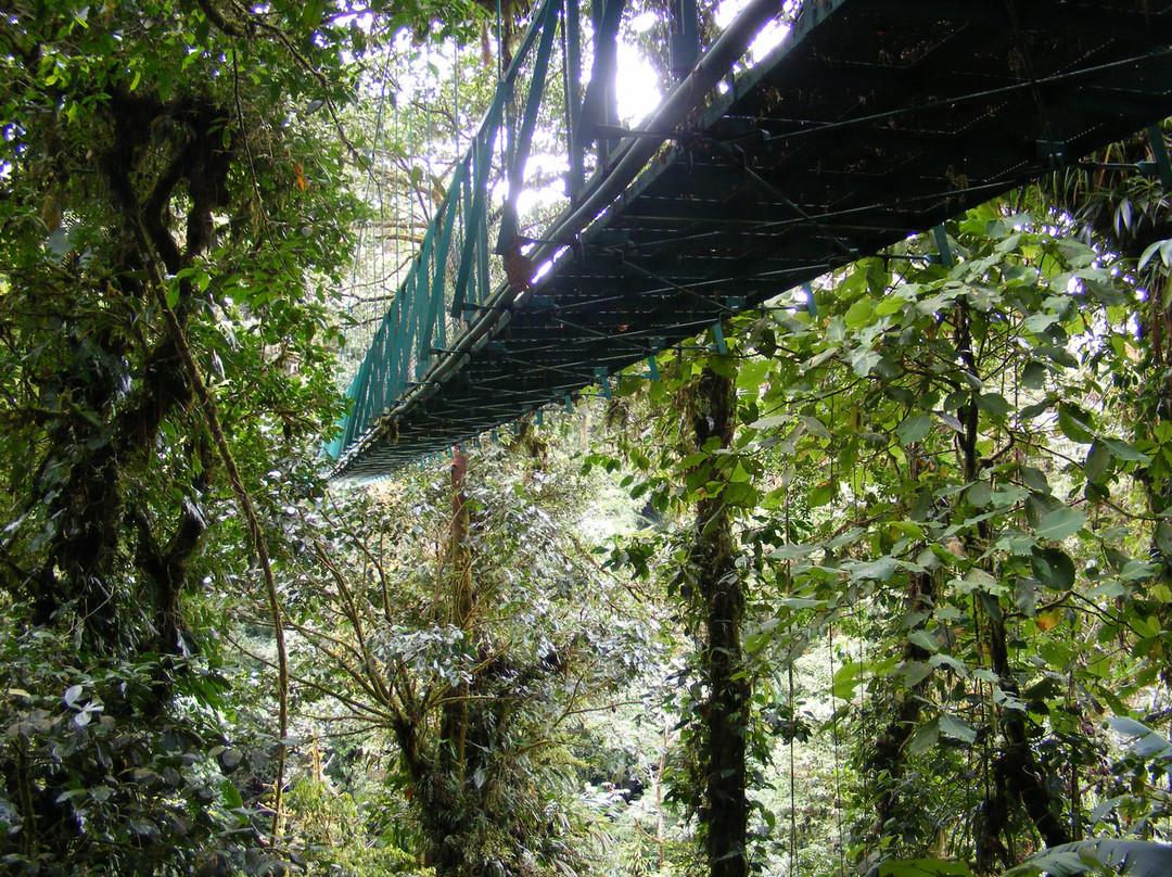 El Trapiche Tour-蒙特沃德必去景点