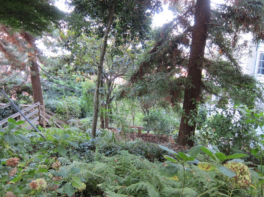 费尔波特步道-旧金山必去景点