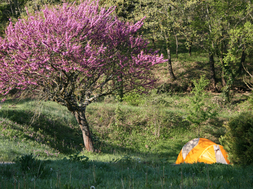Camping le Vallon
