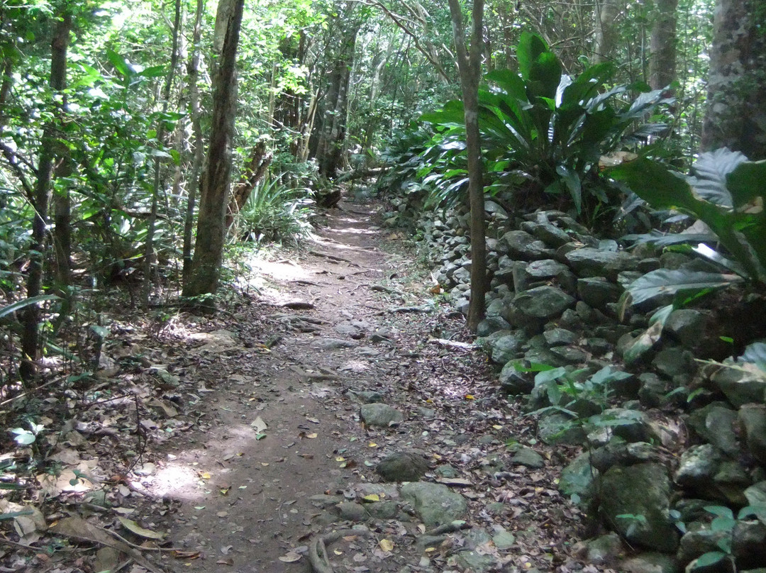 Reef Bay Trail-维尔京群岛国家公园必去景点