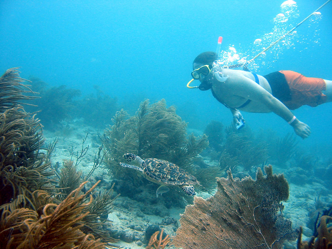 VI SNUBA Excursions-维尔京群岛国家公园必去景点