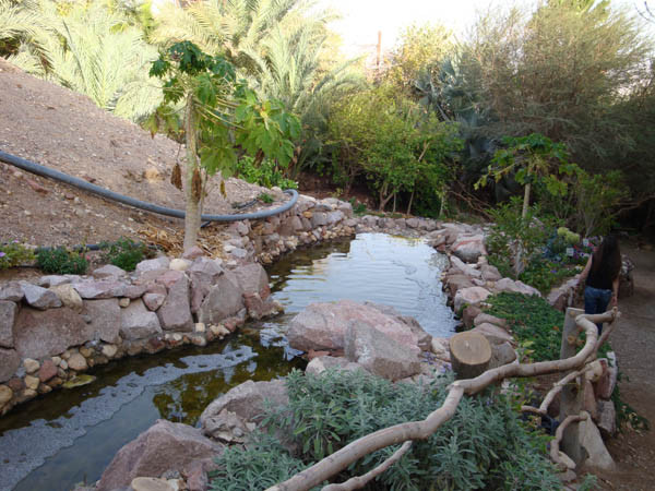 The Botanical Garden Of Eilat-埃拉特必去景点