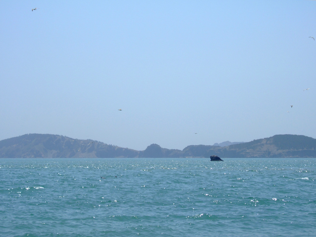 海驴岛-荣成市必去景点