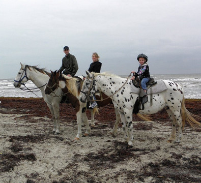 Horses On The Beach: Corpus Christi-科珀斯克里斯蒂市必去景点
