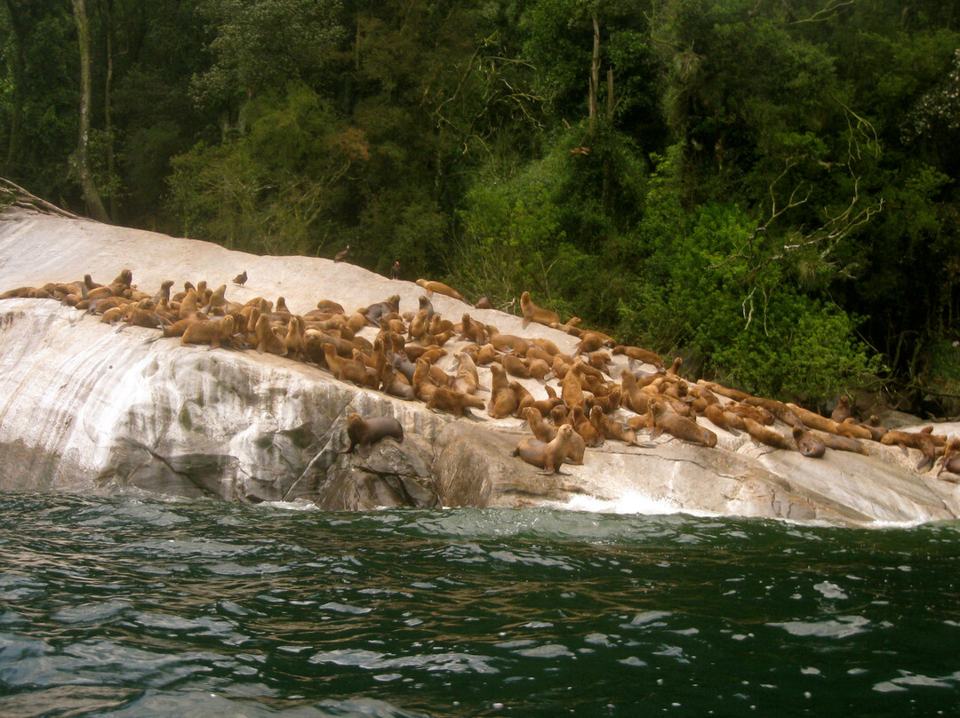 Chaiten旅游景点-Parque Pumalin