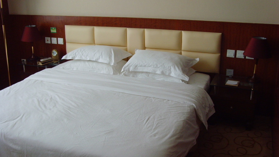 营口皇家园林酒店-客卧