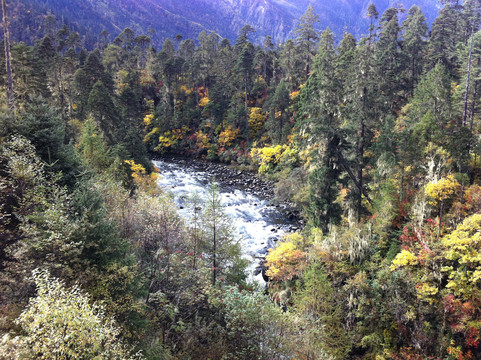 南伊沟-米林县必去景点
