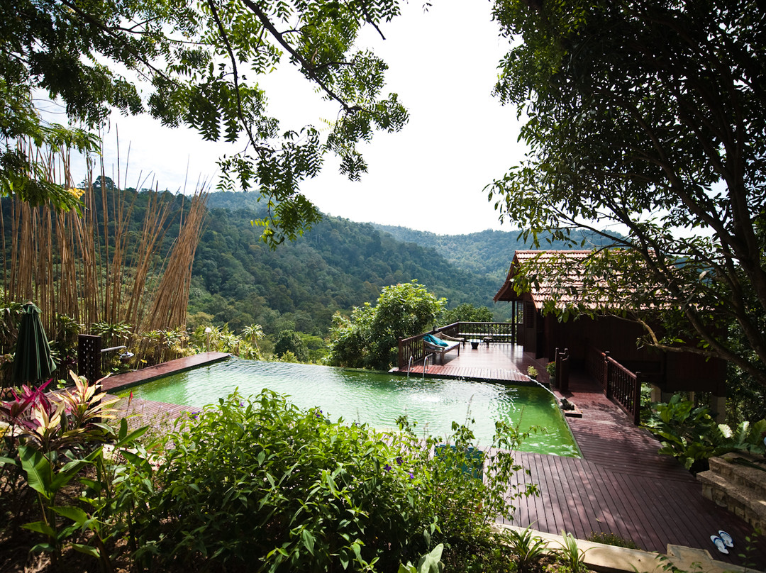 瓜拉庇劳酒店住宿-The Dusun