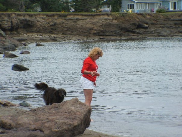 Rexton旅游攻略图片