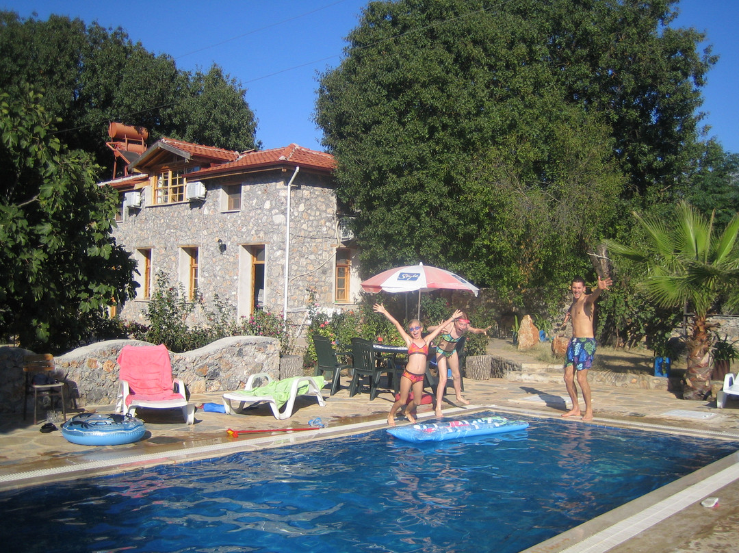 Villa Dimitri
