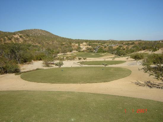 Desert Course at Cabo del Sol-洛斯卡布斯必去景点