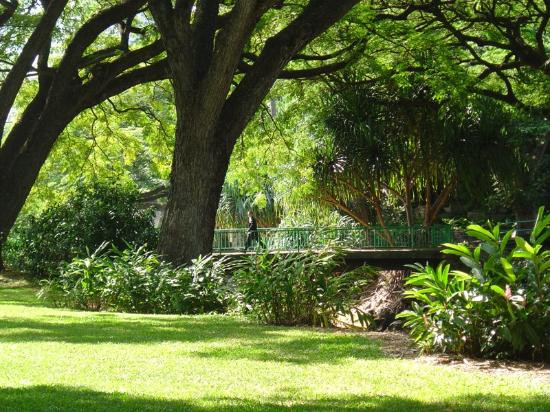 莉莉乌卡拉尼女王植物园景点图片
