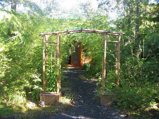 卡帕奥酒店住宿-雨林度假酒店