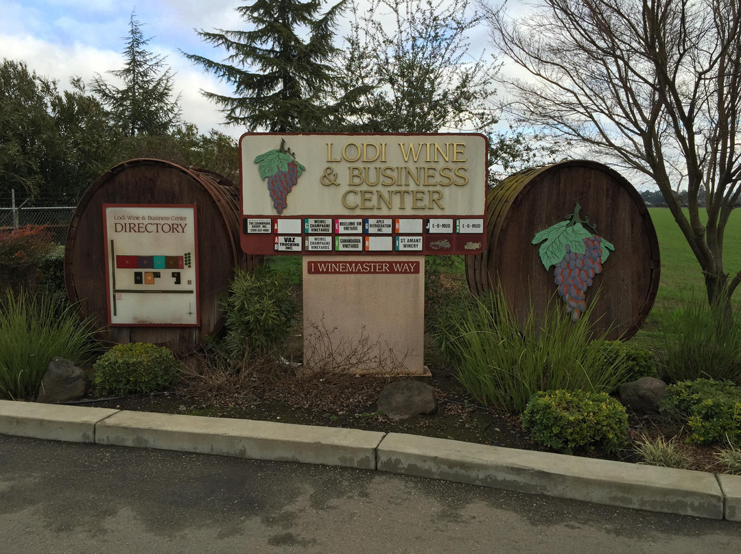 St. Amant Winery-洛迪必去景点