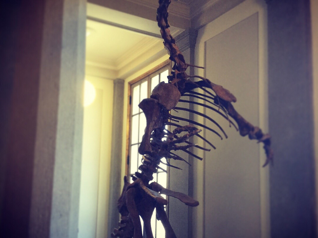 Evolutionsmuseet-乌普萨拉必去景点