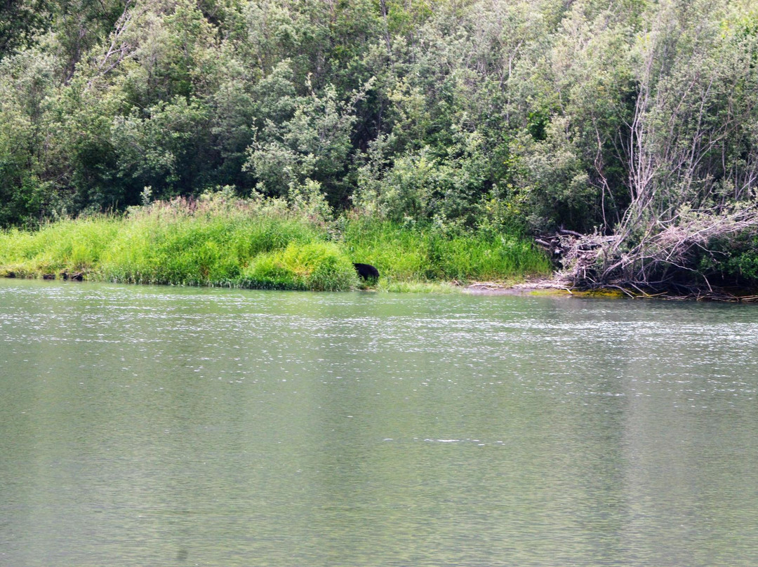 Golden Bear RV Resort