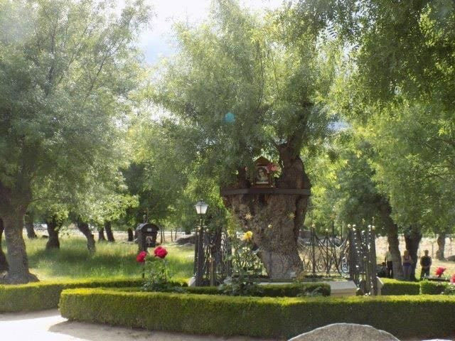 埃尔埃斯科里亚尔旅游攻略图片