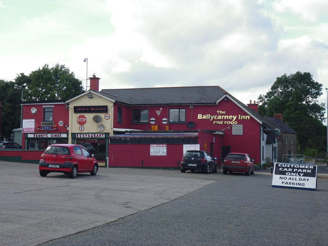 Bunclody餐馆和美食-The Ballycarney Inn