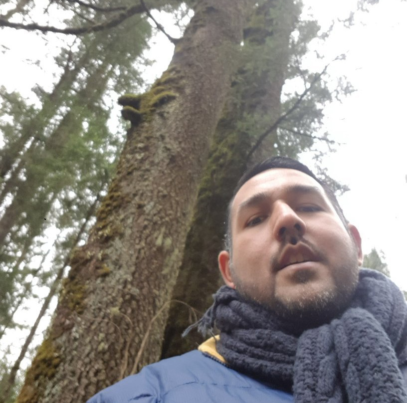 La Reserva de la Biosfera Mariposa Monarca-米却肯必去景点