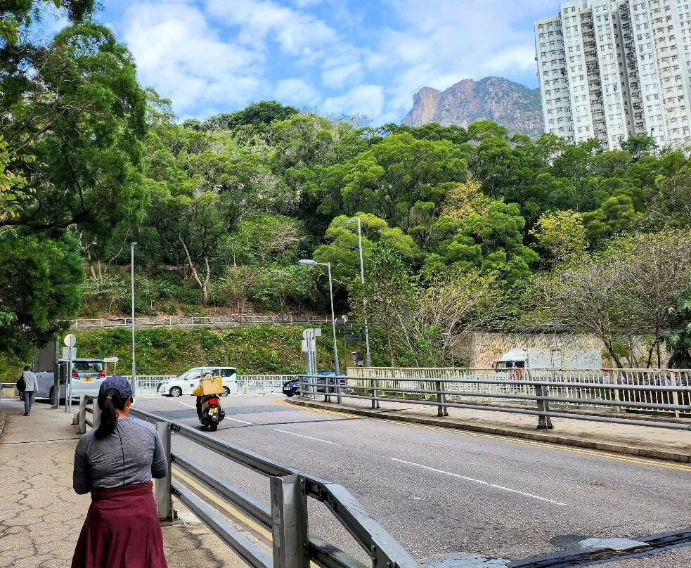 狮子山郊野公园-香港必去景点