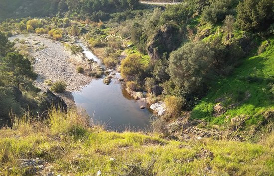 Acequica del Guadalmina Trail景点图片