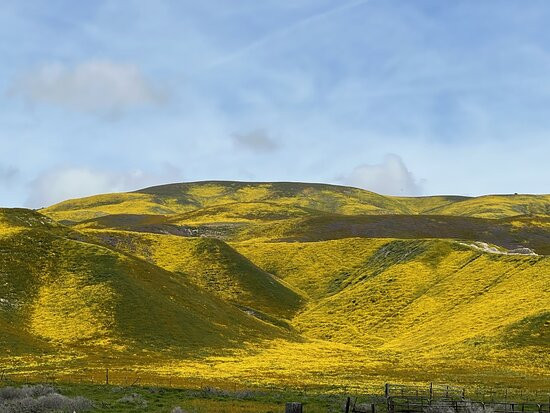 Carrizo Plain National Monument-Maricopa必去景点