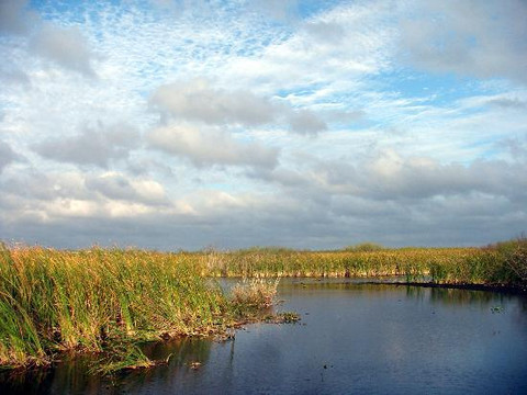 Loxahatchee Everglades Airboat Tours-Parkland必去景点
