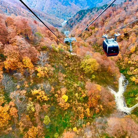 Tanigawadake Tenjindaira Ski Area景点图片
