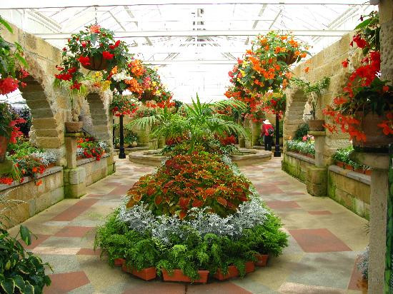 塔斯马尼亚皇家植物园-霍巴特必去景点