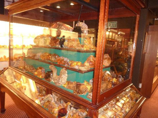 The Kauri Museum-Matakohe必去景点