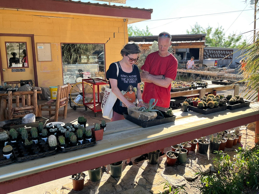 Many Stones-Terlingua必去景点