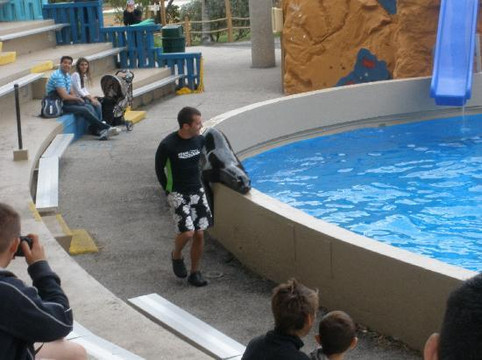迈阿密水族馆-迈阿密必去景点