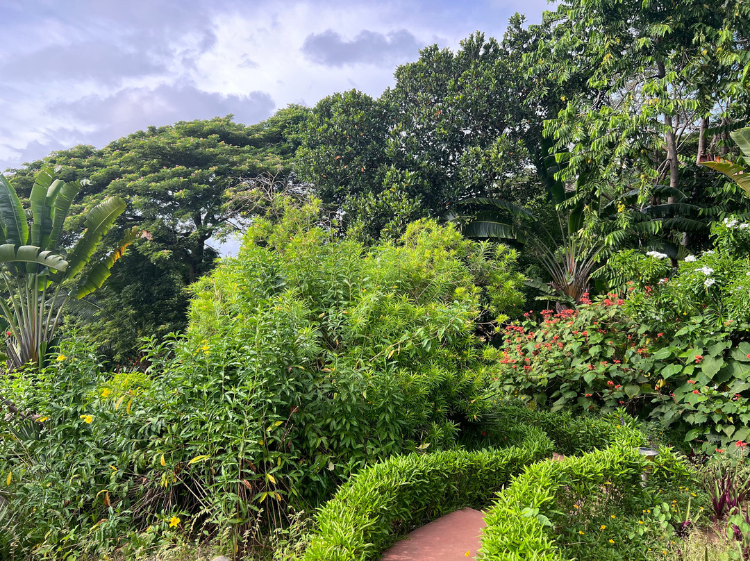 芒加索艾旅馆主图