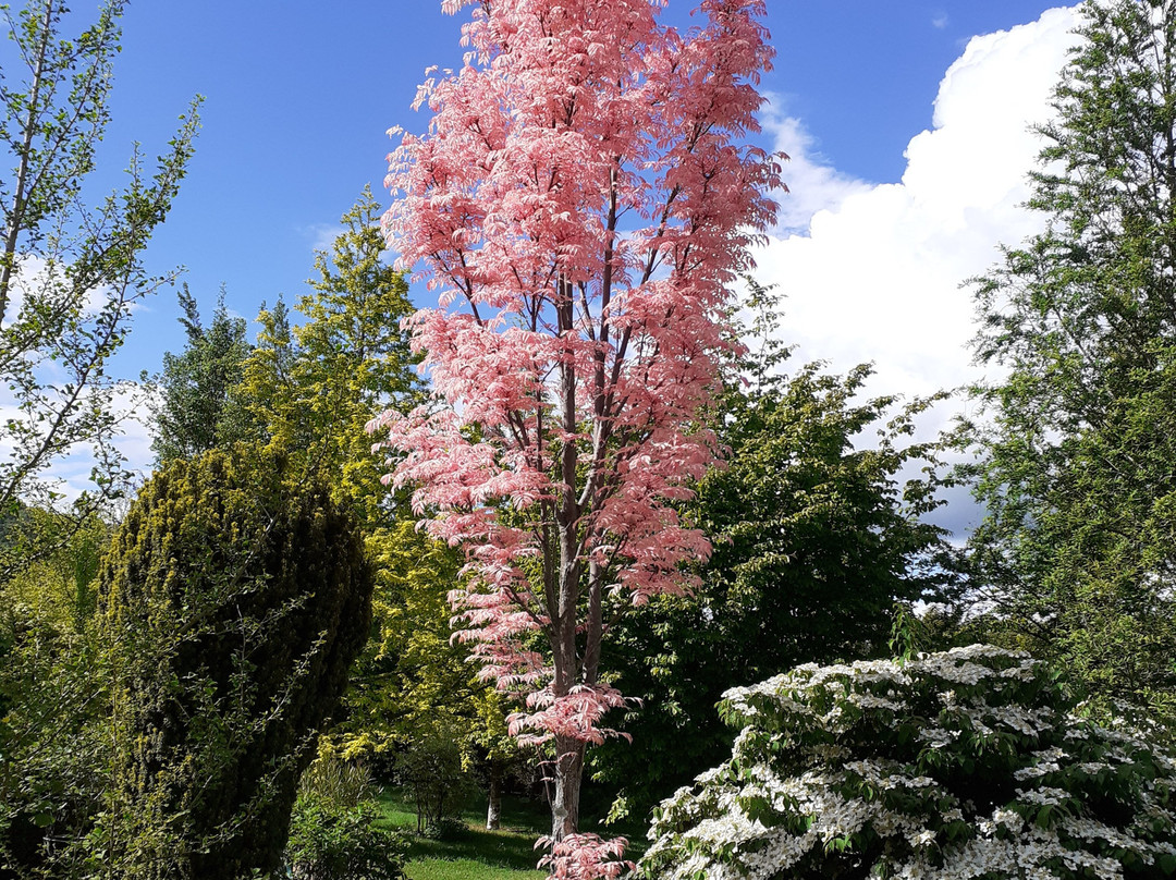 Jardin La Terre Pimprenelle-Alboussiere必去景点