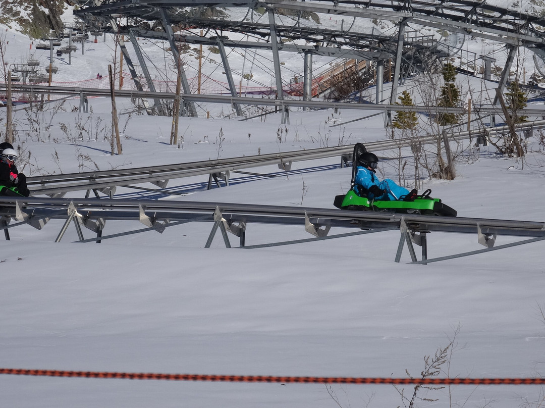 Luge 4 Saisons sur Rail景点图片