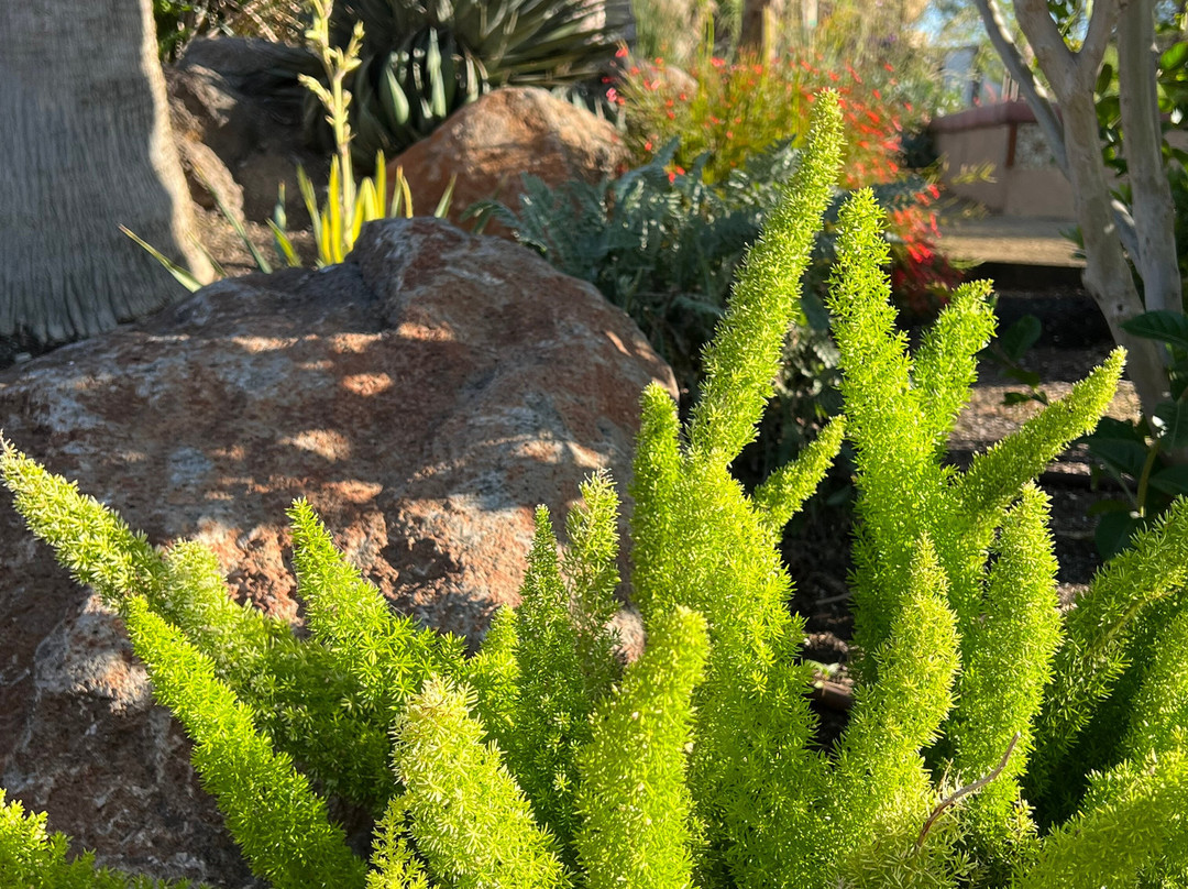 Hotel Mission de Oro主图