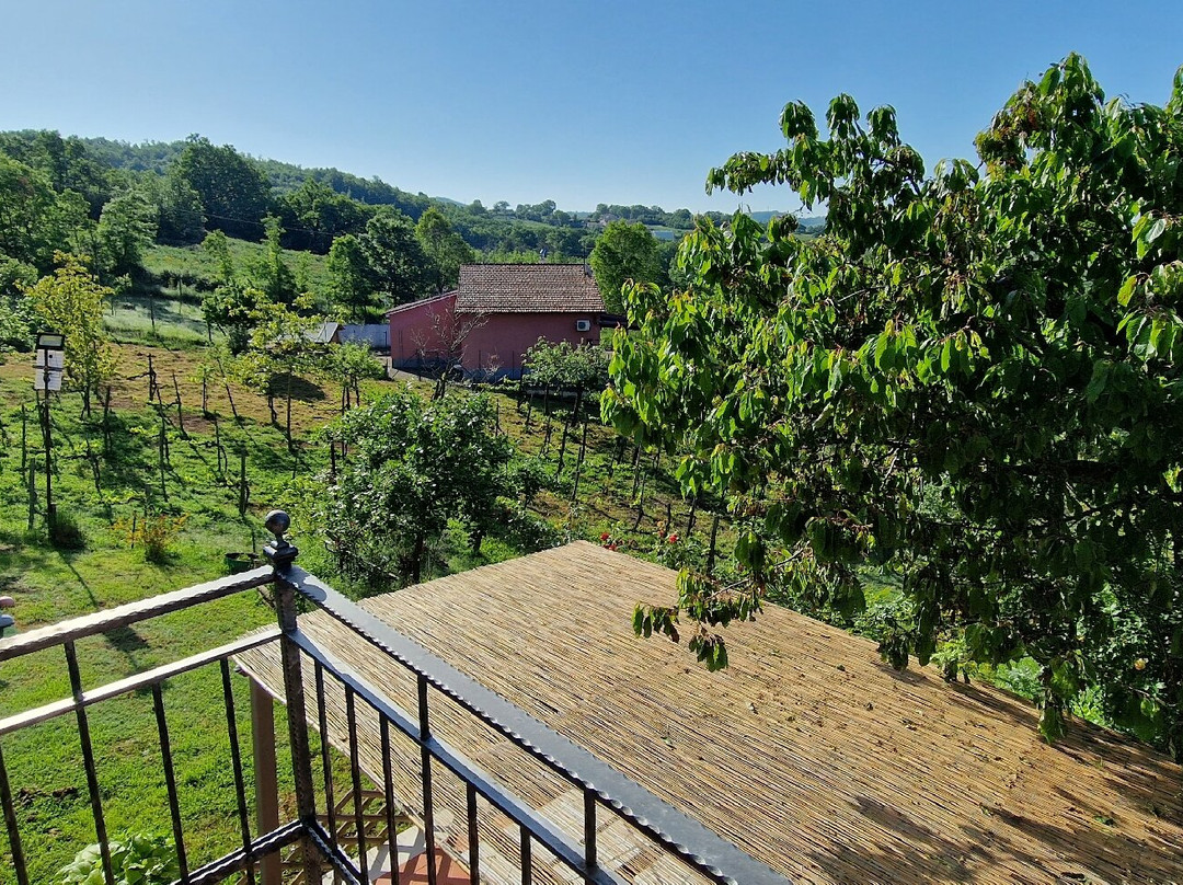 Agriturismo in Borgo Medievale in Irpinia