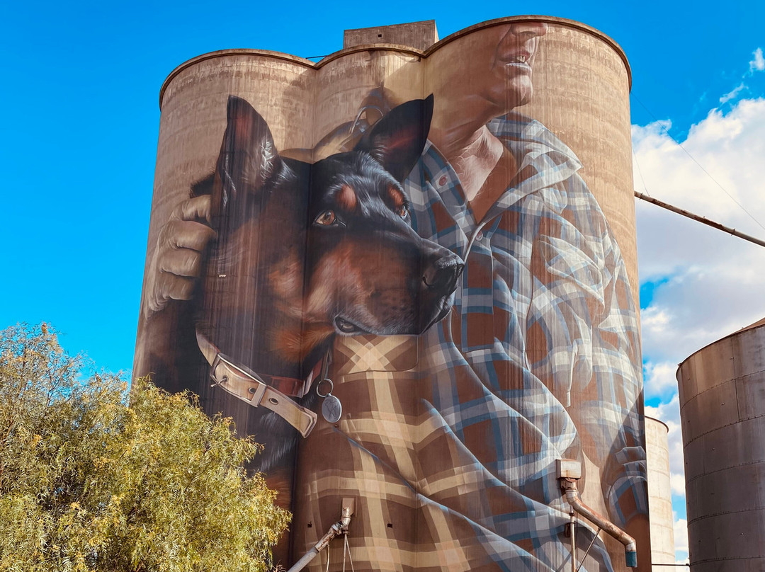 Nullawil Silo Art-Nullawil必去景点