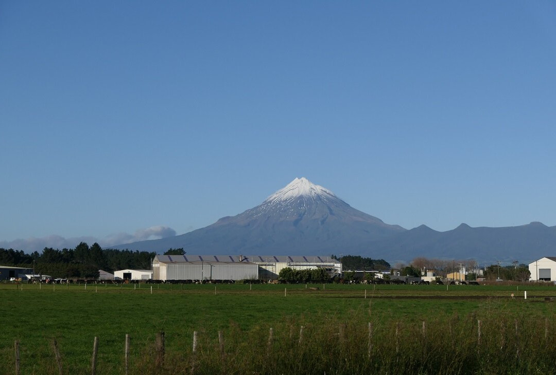 道森汽车旅馆主图