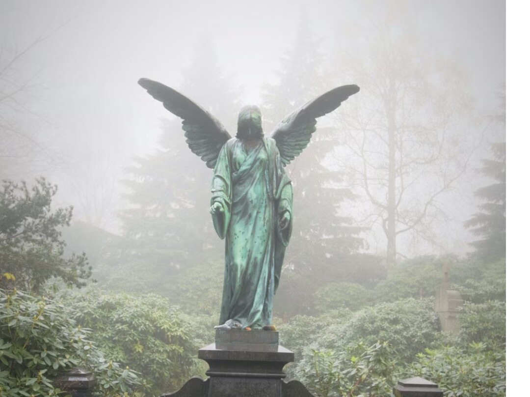 Ohlsdorf Cemetery-汉堡必去景点