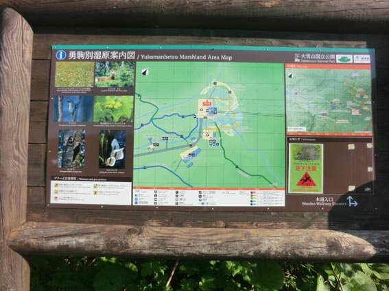 Yukomanbetsu Swamp-东川町必去景点