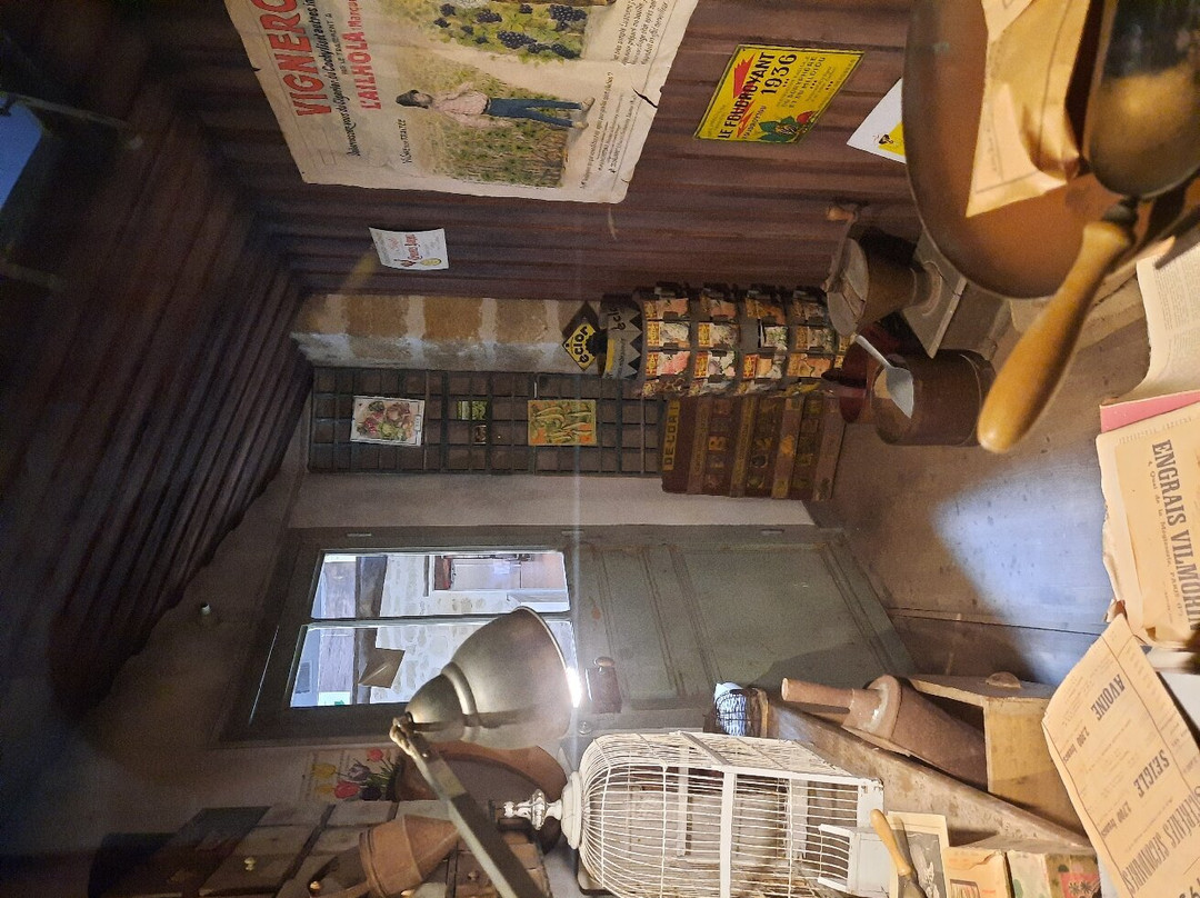 Musée Aux Anciens Commerces景点图片