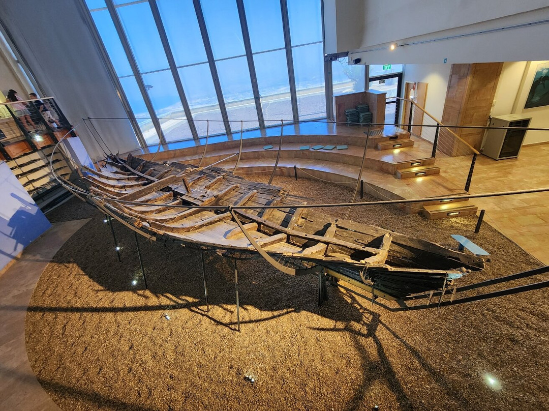 Hecht Museum, University of Haifa-Haifa必去景点