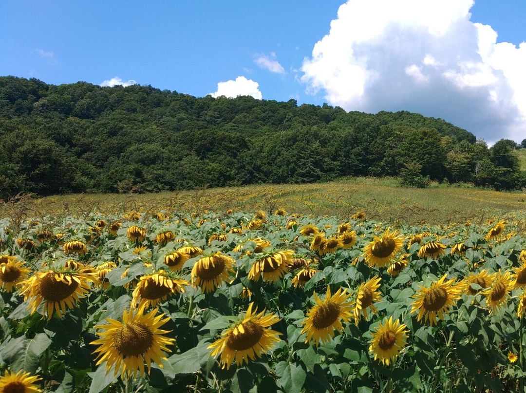 Sannokura Ski Area-喜多方市必去景点