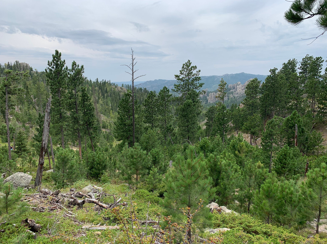 Black Elk Peak-南达科塔州必去景点