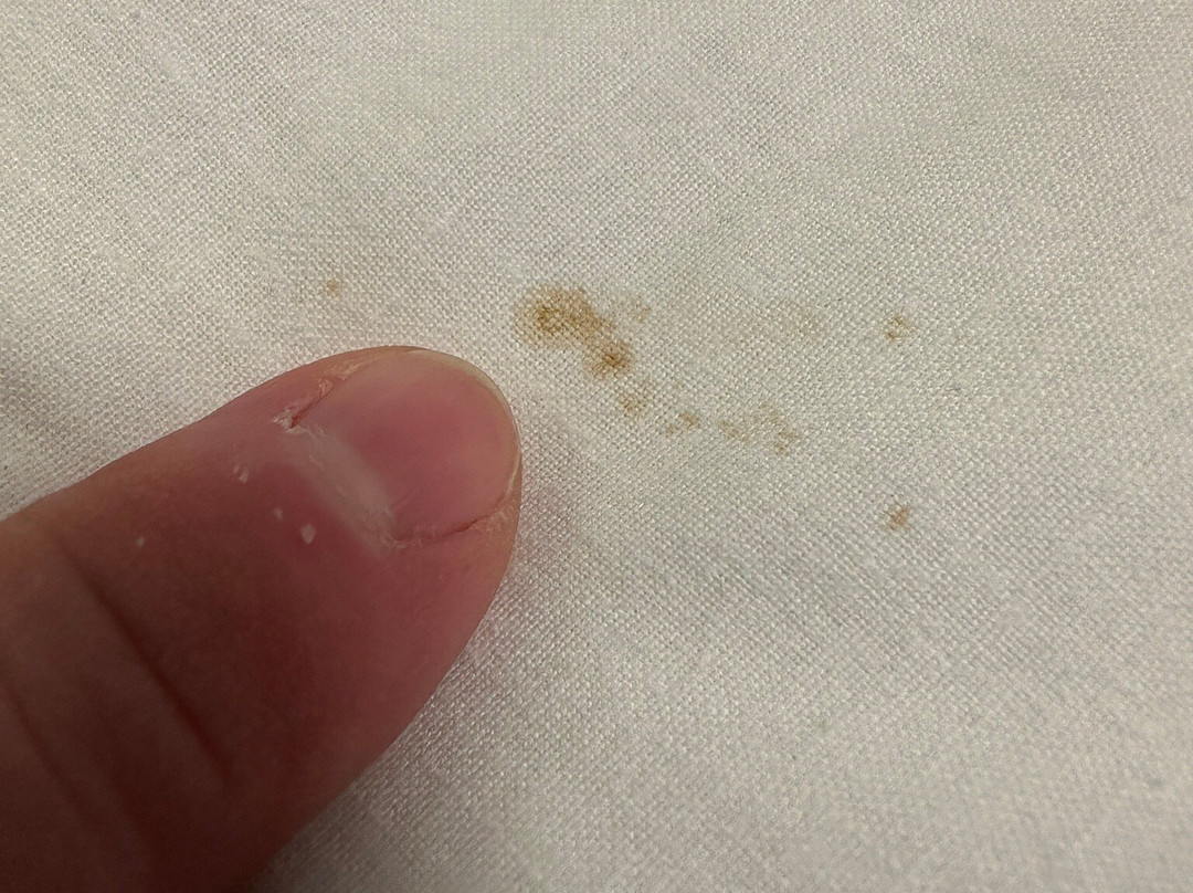 查恩伍德阿姆斯晚安旅店主图